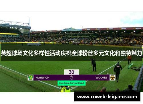英超球场文化多样性活动庆祝全球粉丝多元文化和独特魅力